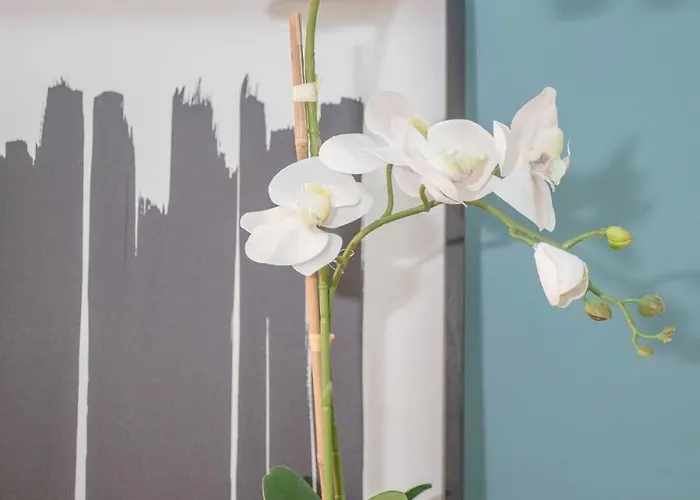 Liiiving In - Ribeira Design Apartman Porto