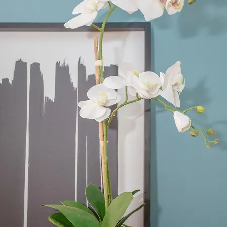 Liiiving In - Ribeira Design Apartment *