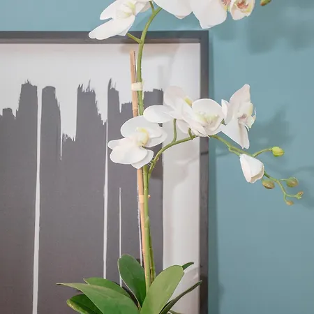 Liiiving In - Ribeira Design Porto